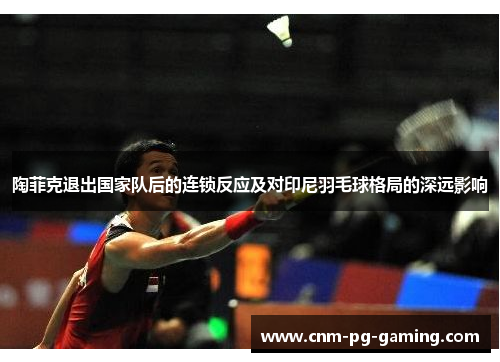 陶菲克退出国家队后的连锁反应及对印尼羽毛球格局的深远影响