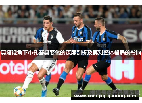 莫塔视角下小孔塞桑变化的深度剖析及其对整体格局的影响