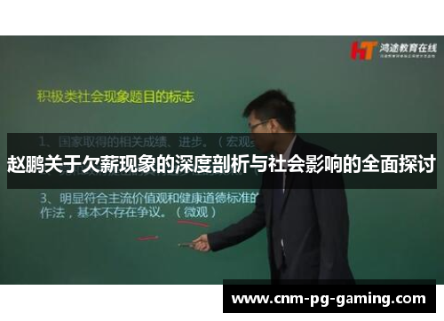 赵鹏关于欠薪现象的深度剖析与社会影响的全面探讨