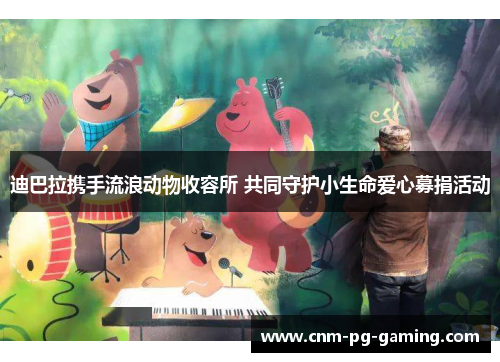 迪巴拉携手流浪动物收容所 共同守护小生命爱心募捐活动